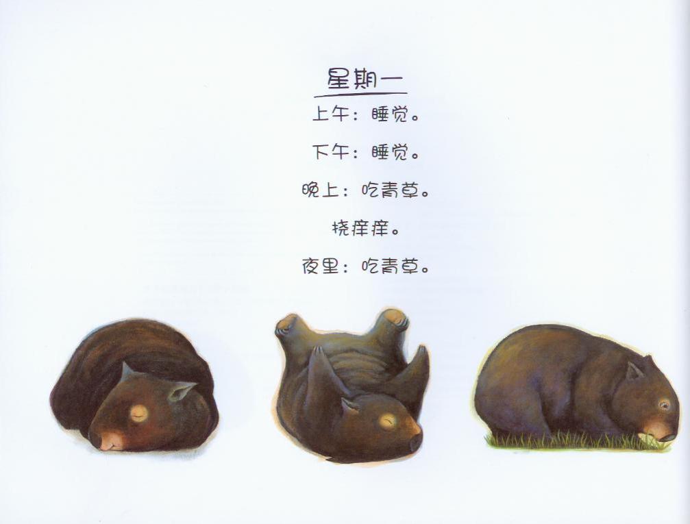 袋熊日记 (02),绘本,绘本故事,绘本阅读,故事书,童书,图画书,课外阅读